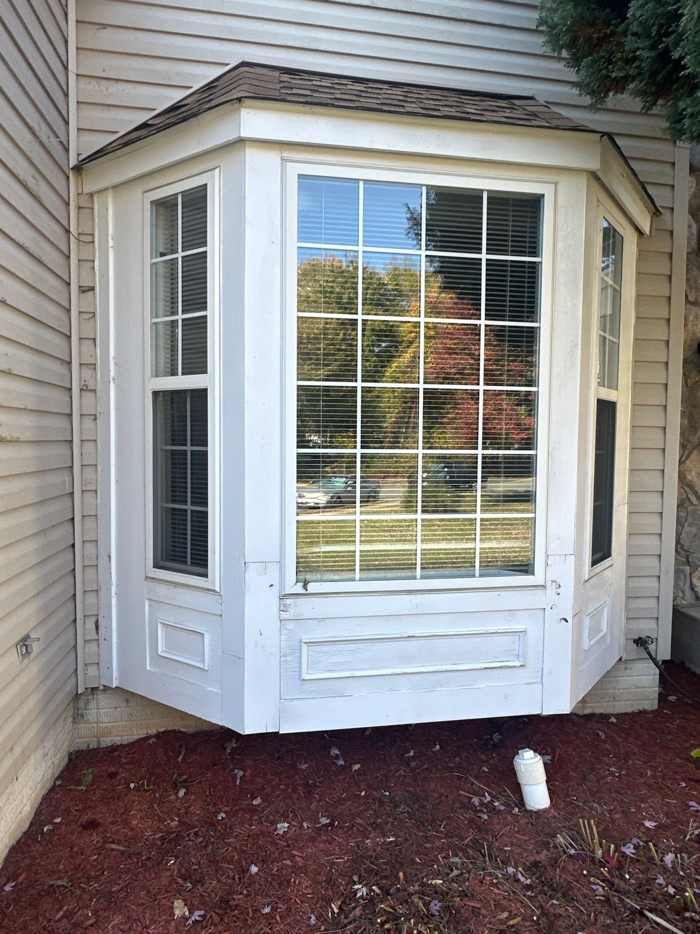 White bay window with grid panes and white trim on beige siding; reflections of trees in glass panes.