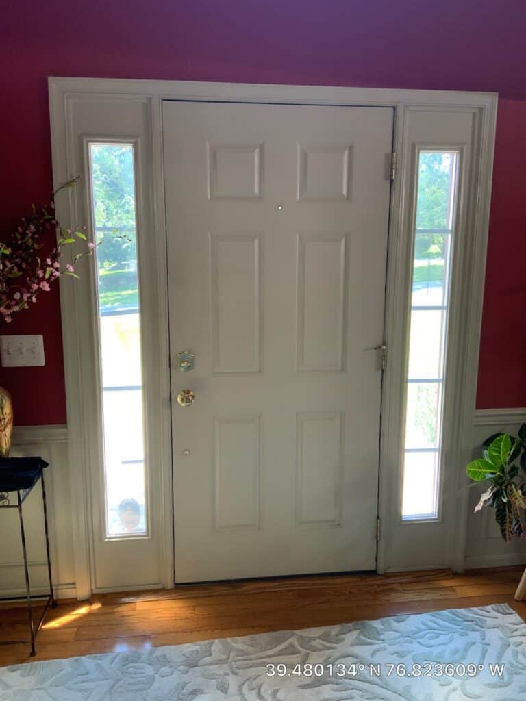 Interior front door with narrow sidelight windows on a purple-walled entryway, plant nearby and hardwood floor adjacent to rug.